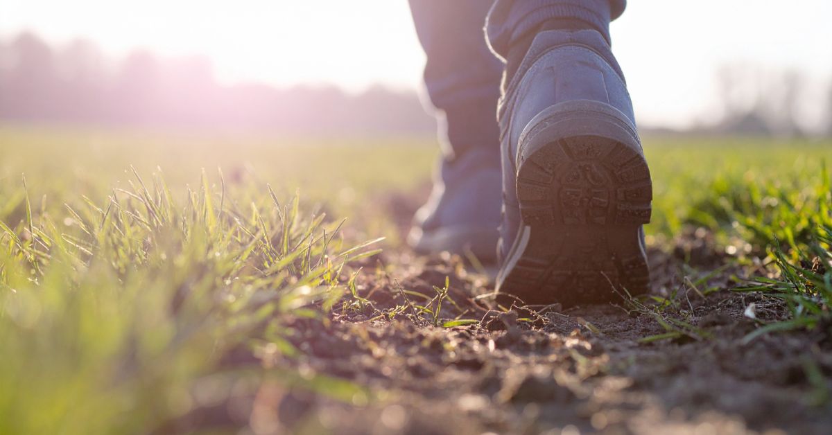 longevity-tips-walking-stressfreelongevity Close-up of walking boots on grass in morning light — simple movement for longevity