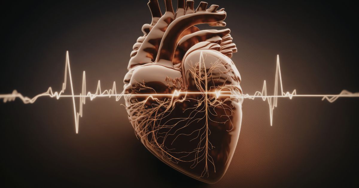 resting-heart-rate-heart-cardiovascular-fitness-stressfreelongevity Anatomical heart with pulse line — how cardiovascular fitness affects resting heart rate