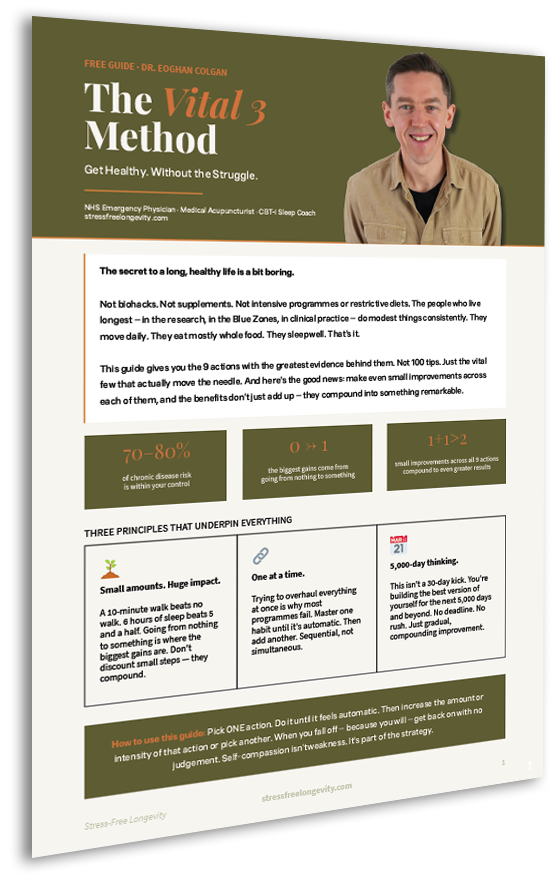 The Vital 3 Method An angled image of the Vital 3 Method ebook with drop shadow