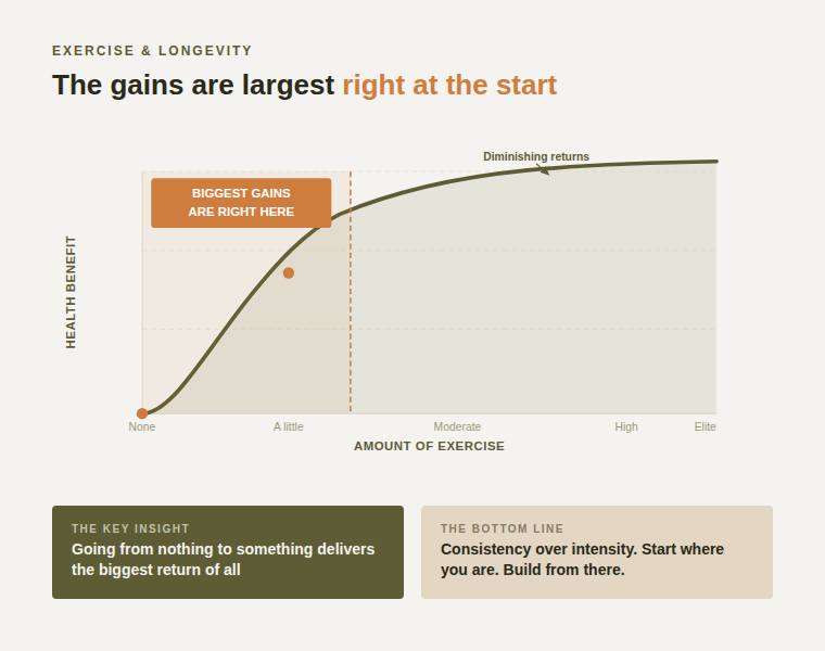 exercise_benefit_chart Graph showing the curvilinear relationship between exercise and health benefit — the biggest gains come right at the start, going from nothing to a little