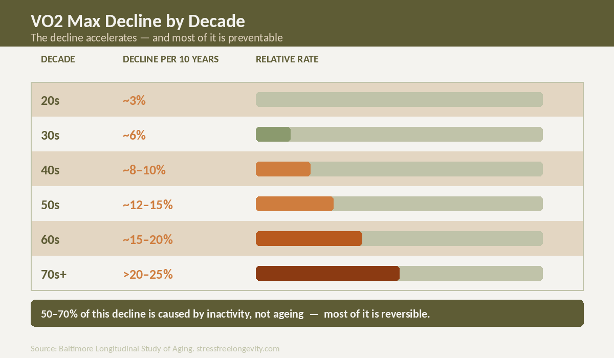 vo2-max-decline-by-decade-stressfreelongevity Chart showing VO2 max decline by decade — from 3% in the 20s to over 20% per decade in the 70s, with note that 50-70% of decline is caused by inactivity not ageing