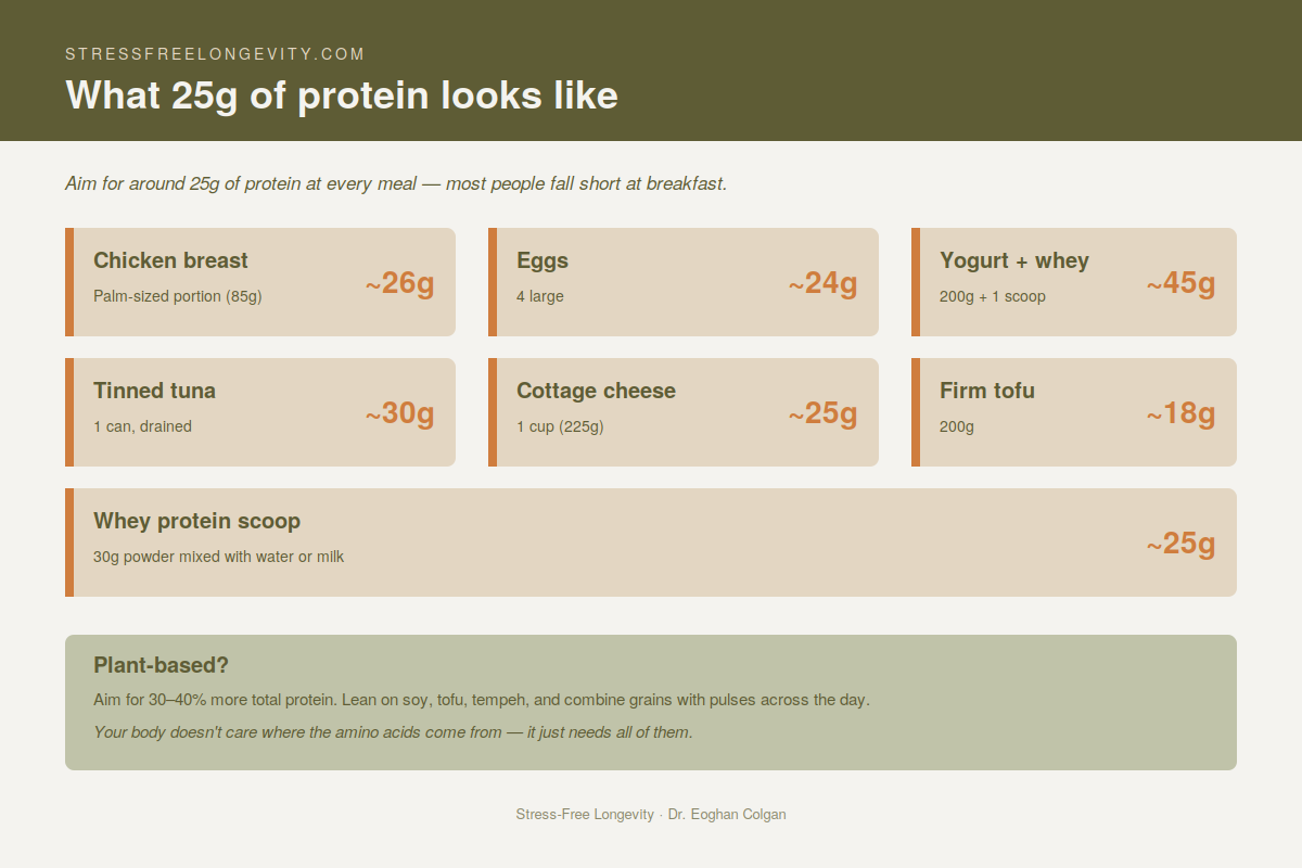 Visual guide showing 25g of protein per meal for adults over 40 — chicken breast, eggs, Greek yogurt with whey, tinned tuna, cottage cheese, tofu, and whey protein scoop with serving sizes