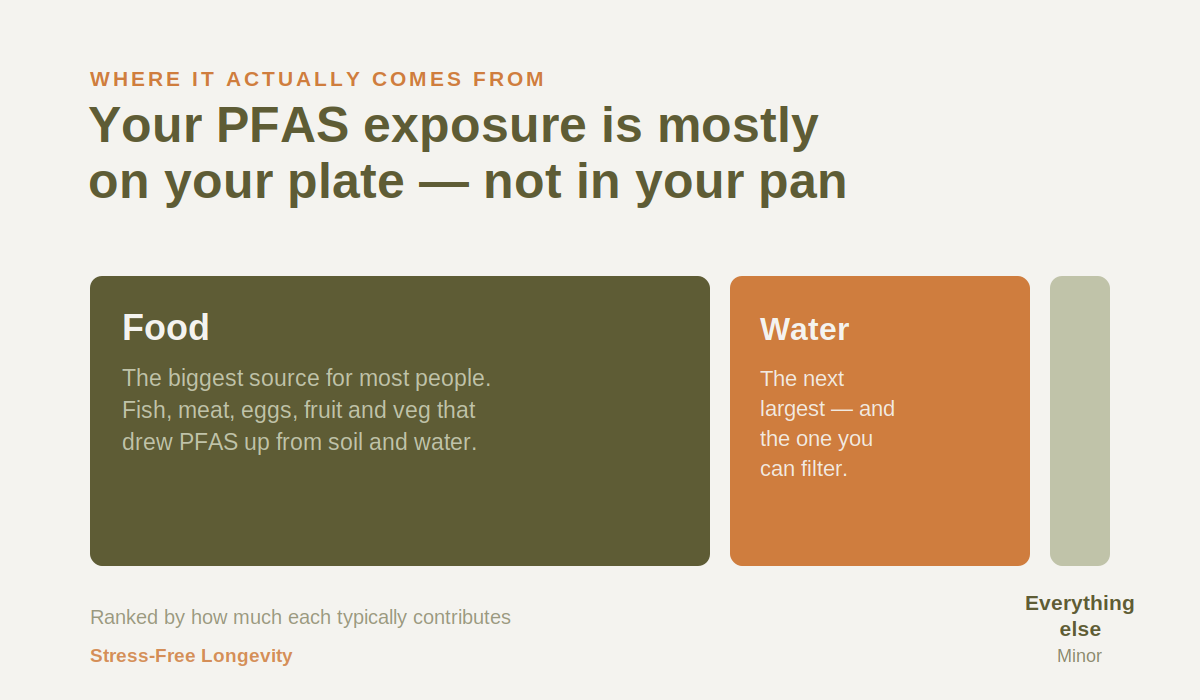 pfas-exposure-sources-stressfreelongevity Ranked chart showing PFAS exposure comes mostly from food, then drinking water, with dust, air and household products only minor