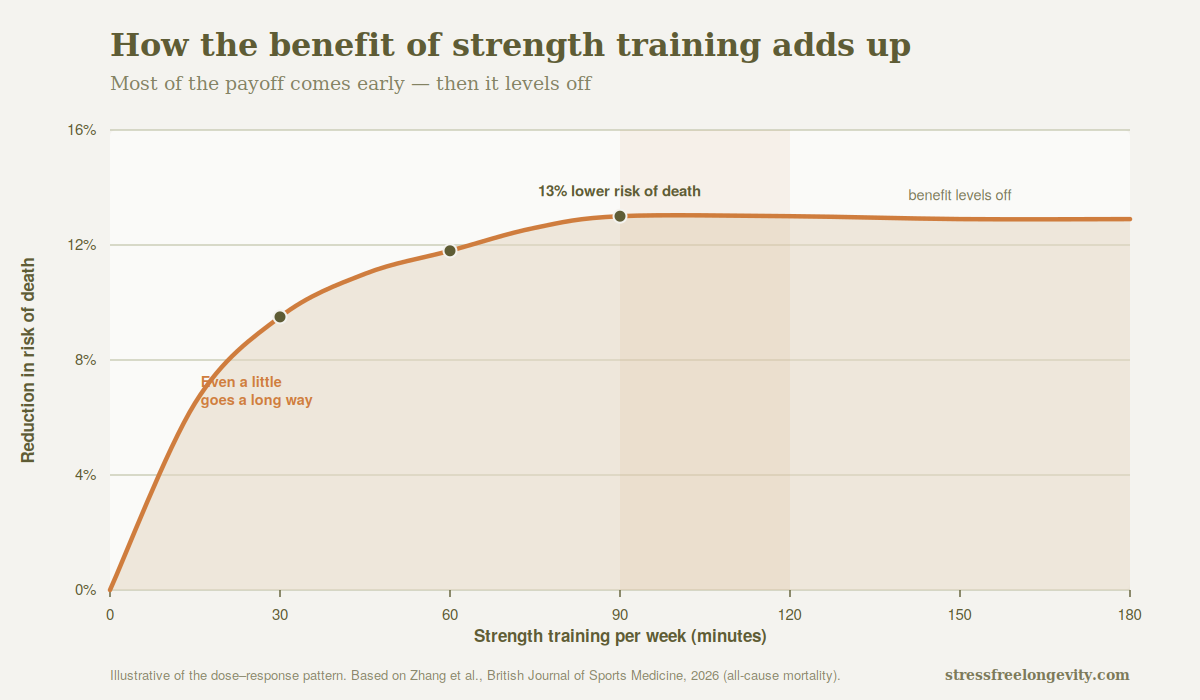 strength-training-dose-response-curve-stressfreelongevity Curve showing most of strength training's benefit comes in the first 30 to 60 minutes a week, peaking around 90 to 120 minutes then levelling off