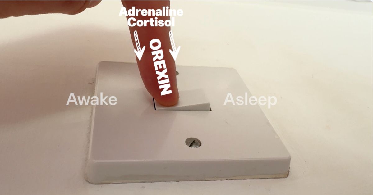 Light switch labelled awake and asleep, with a finger pressing the awake side