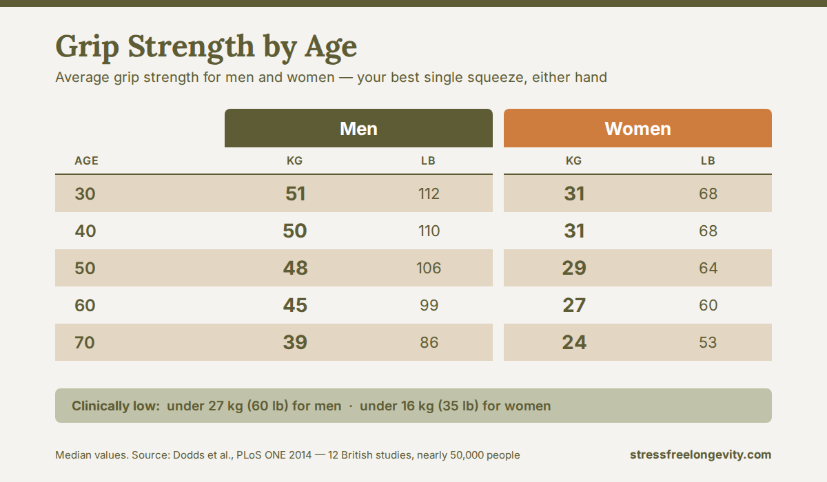 grip-strength-chart-by-age-men-women-stressfreelongevity Grip strength chart by age showing average grip strength for men and women in kilograms and pounds