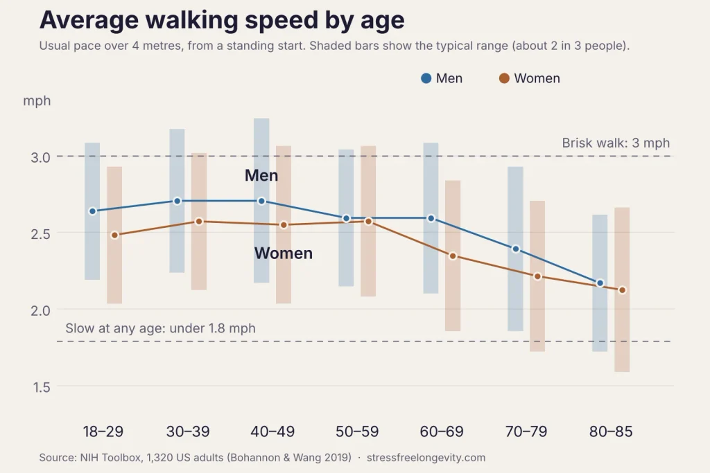 Chart of average walking speed by age for men and women, steady to about 60, then falling to about 2.1 to 2.2 mph by 80 to 85